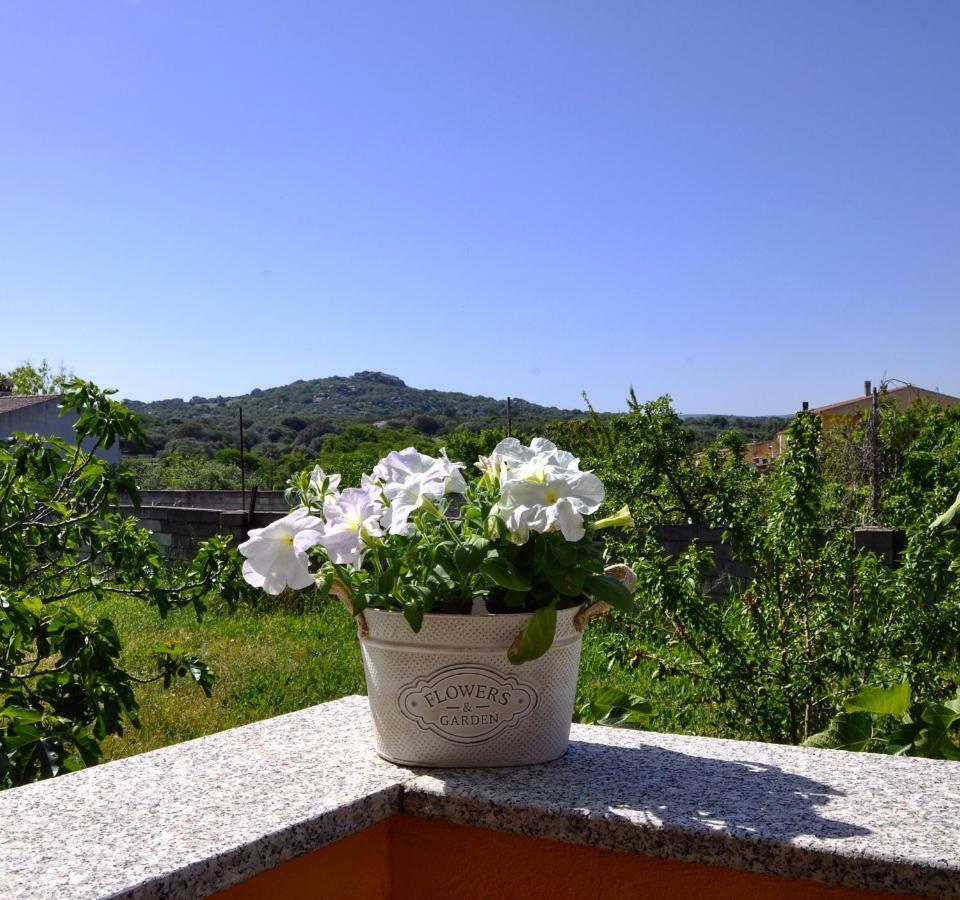 Casa Duminicheddha, Mare E Relax In Gallura Bassacutena Exteriör bild