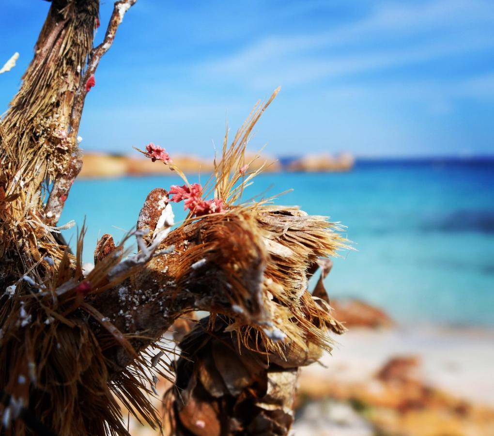 Casa Duminicheddha, Mare E Relax In Gallura Bassacutena Exteriör bild